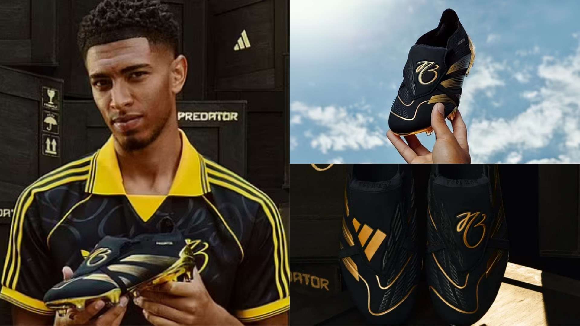 的身体素质 的身体素质