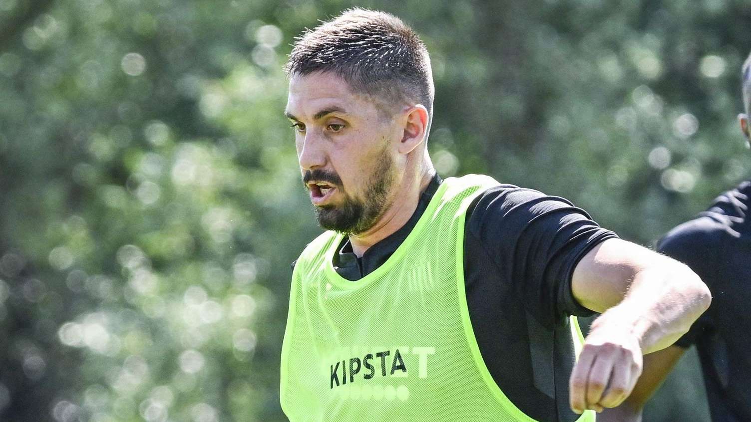 生涯及球队 生涯及球队