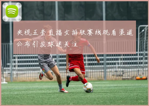 央视五套直播女排联赛线观看渠道公布引发球迷关注