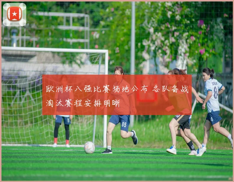 欧洲杯八强比赛场地公布 各队备战淘汰赛程安排明晰