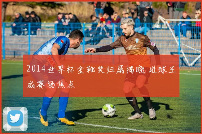 2014世界杯金靴奖归属揭晓 进球王成赛场焦点