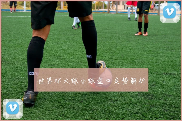 世界杯大球小球盘口走势解析